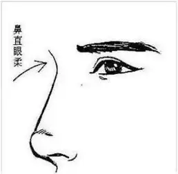 鼻子面相图解鼻子面相看人生运程