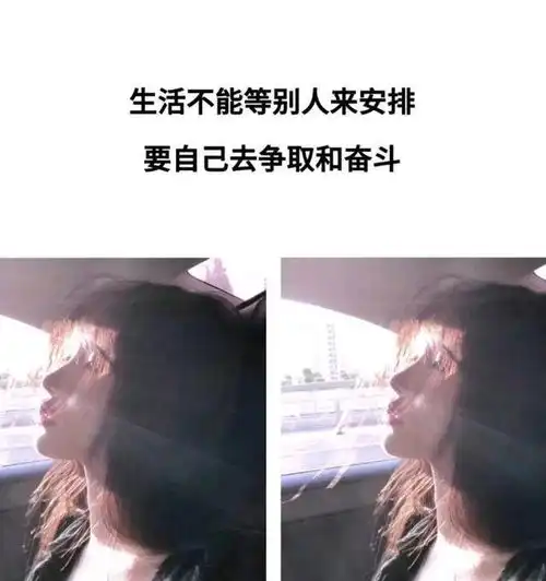 早安正能量人生感悟真诚相待,认真生活,努力争取和奋斗