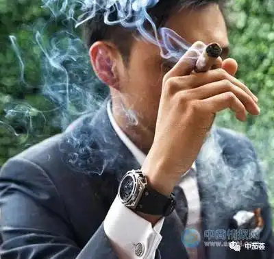 雪茄足以展现男人的优雅和高贵