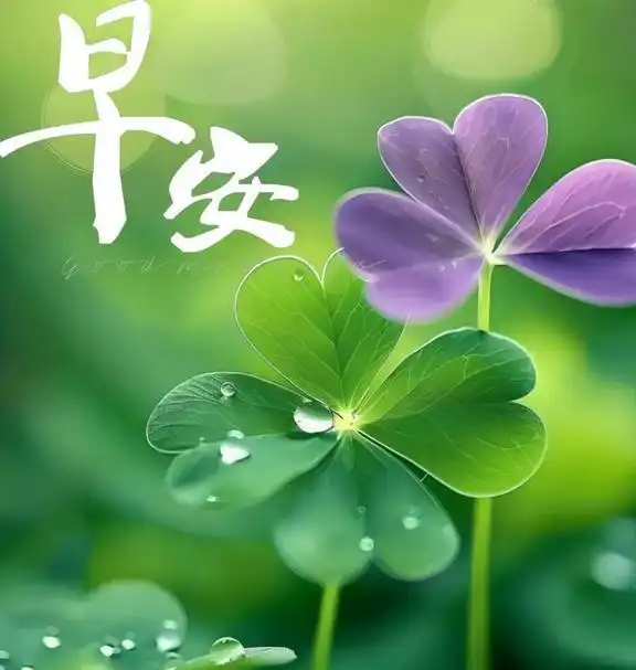 今日早安问候语早安祝福图相当精彩