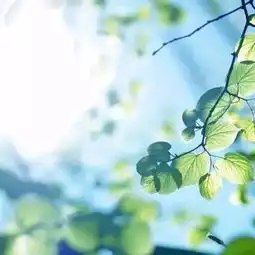 心若美好,一切皆美好