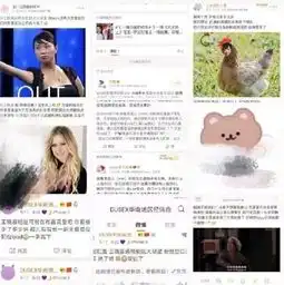 王晓晨怒怼黑粉,原因为何