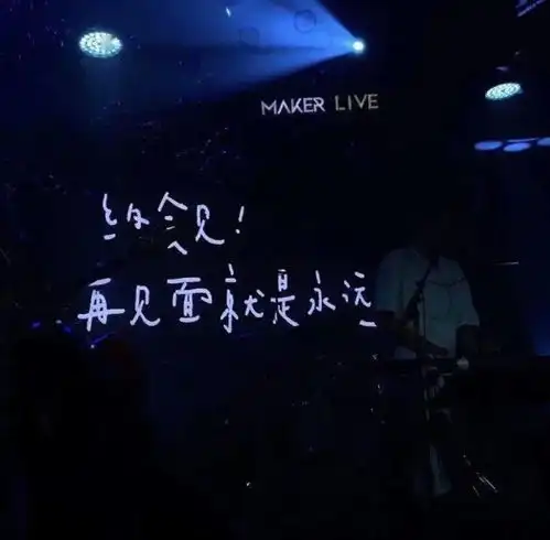 今日精选再见面就是永远