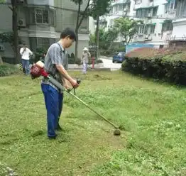 大调研进行时现场速记厚植盎然绿意,美丽小区绽心花