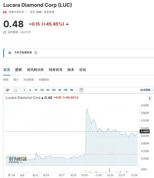 世界第二大钻石被挖出重达2492克拉开采公司股价一度暴涨80