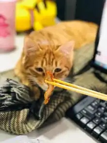 2019年编辑部的美食故事,请查收