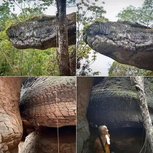 揭秘25个不可思议的奇闻异事