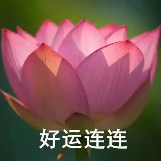 想开了,甚荷我意