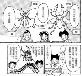 名侦探柯南的科学之旅丨将漫画与自然科学完美结合,最适合中小学生的理科课外书