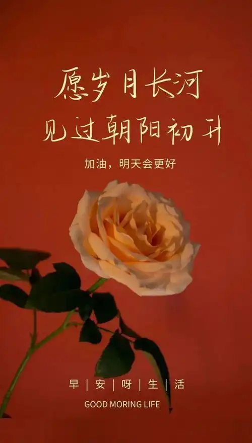 11月最新励志早安正能量语录,早安励志文案句子,早安励志图片