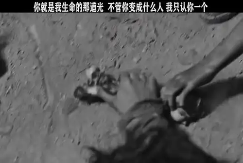 是你把我从黑暗带到光明,这辈子我只认你一个人