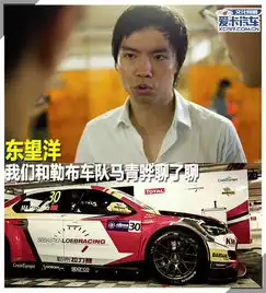 我们和马青骅聊了聊爱卡汽车图片