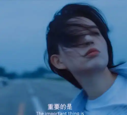 宝藏w