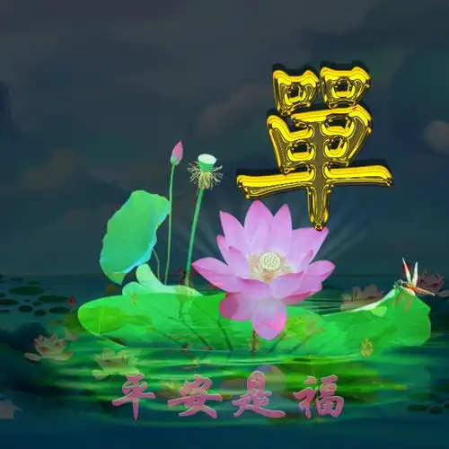 爱了45张姓氏微信头像,满屏都是荷花的清香