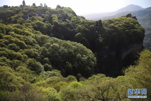 崆峒山绿意盎然