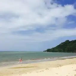 测试一个超长简介的文章
