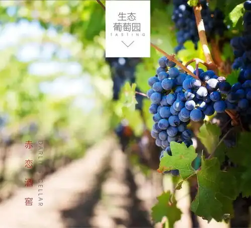 你好,这是我酿的酒