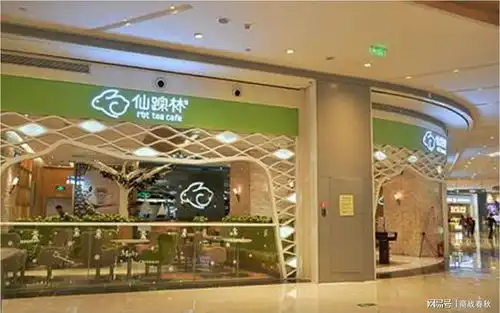 关店,又见关店初代网红鼻祖仙踪林遭遇的中国式困局