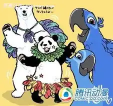白熊与里约推出联合海报