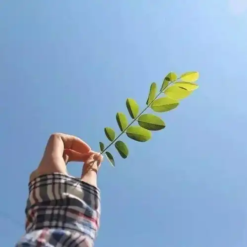 测试一个超长简介的文章