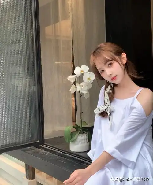 背靠大树好乘凉组图