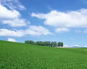 高清桌面美景