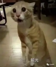 千亿宠物市场或将爆发,却年年为他人作嫁裳