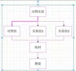 手把手教你如何画好标书中的流程图