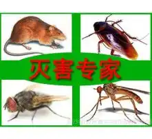 黄页88高清图片