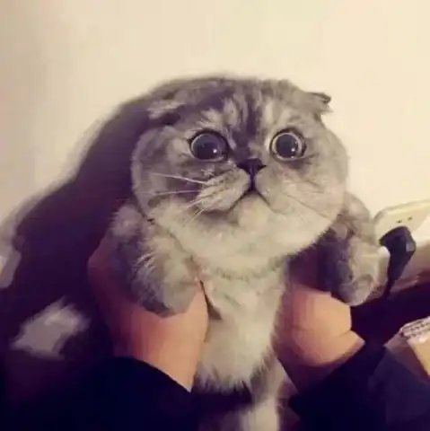 有生之年遇见你是我的运气