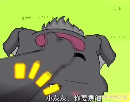 喜羊羊她是狼族的公主,却收下了小灰灰的定情信物
