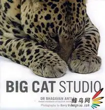 全球首套大猫另类写真