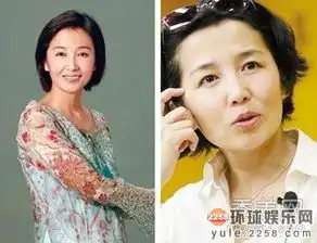十大美女主播成长历程柳岩谢娜如何成为当家花旦