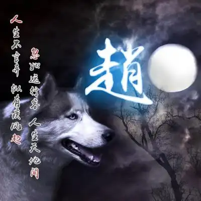 漂亮赵字头像,2020姓氏赵微信头像图片