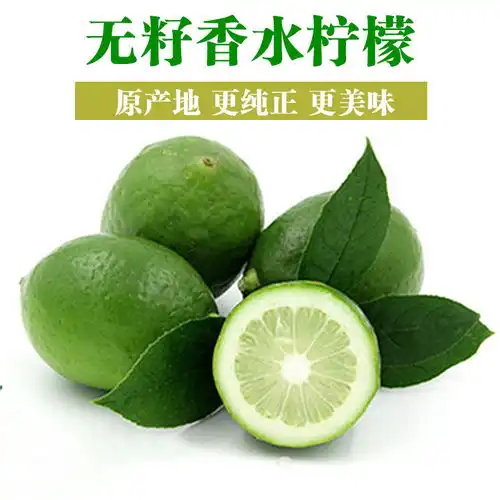 广东四季香水柠檬现摘青柠檬新鲜免邮一级无籽柠檬批发水果坏包赔