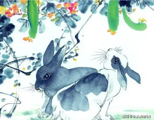 属兔人最不宜生什么属相的宝宝上辈子派来讨债的