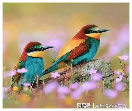 这些荒谬的报考方法,九成家长还在用