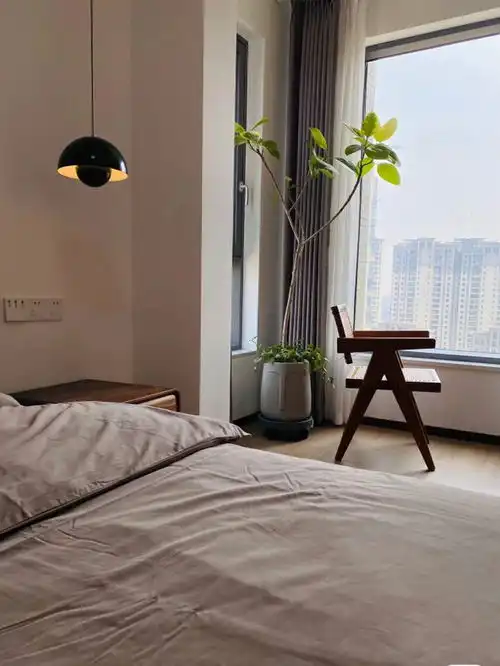 40岁了,喜欢老成的东西新中式清新宜人,温馨舒适,真羡慕客厅家具绿植吊灯电视柜电视背景墙网易订阅
