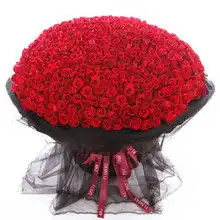 999朵玫瑰花语是什么七夕送999朵玫瑰求婚能成功吗