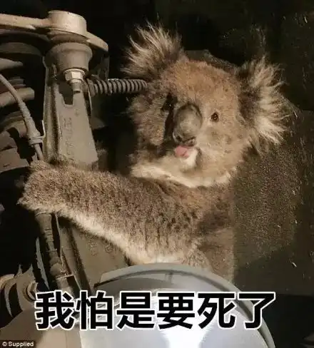 天津相声广播月饼节吃兔子,你们很社会啊