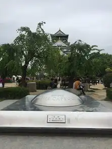 日本8日游d1d2