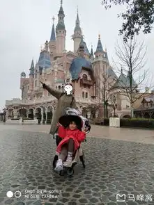 2019三天两晚亲子迪士尼全程无超过半小时的排队,热门项目刷两遍以上