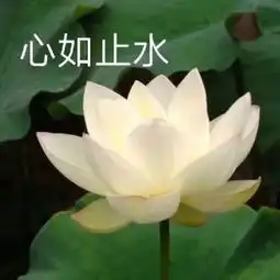 只剩20多天了陇南城乡居民医保缴纳即将结束