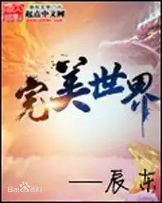 辰东的完美世界小说高清封面图片,谁有