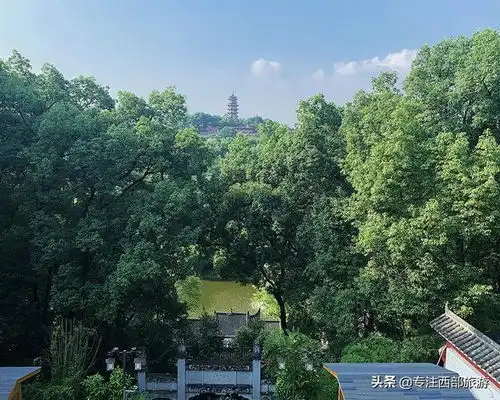 重庆寺庙华岩寺与荷花禅意荷花,花开见佛