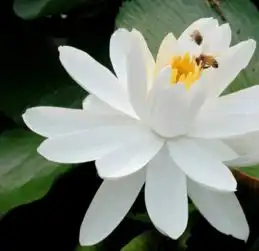 测试一个超长简介的文章
