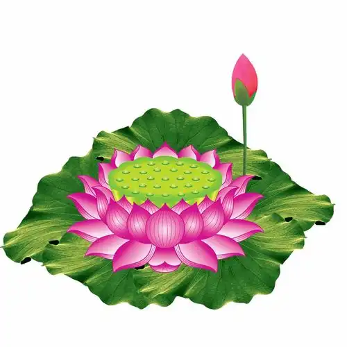 最究竟最方便的放生法,转发就是放生