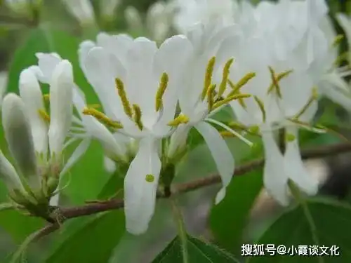 读完这些句子,让人心情豁然开朗