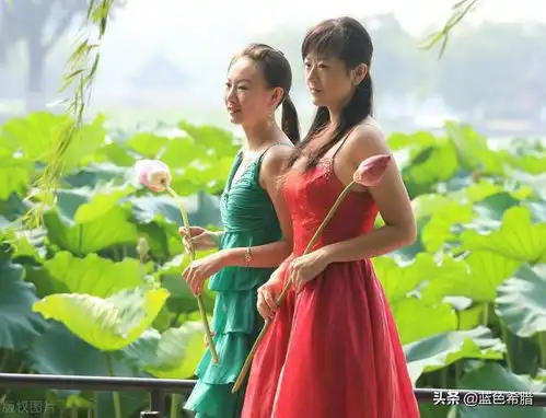 荷花人像怎么拍31字摄影口诀5个技巧送给你,拍唯美人像