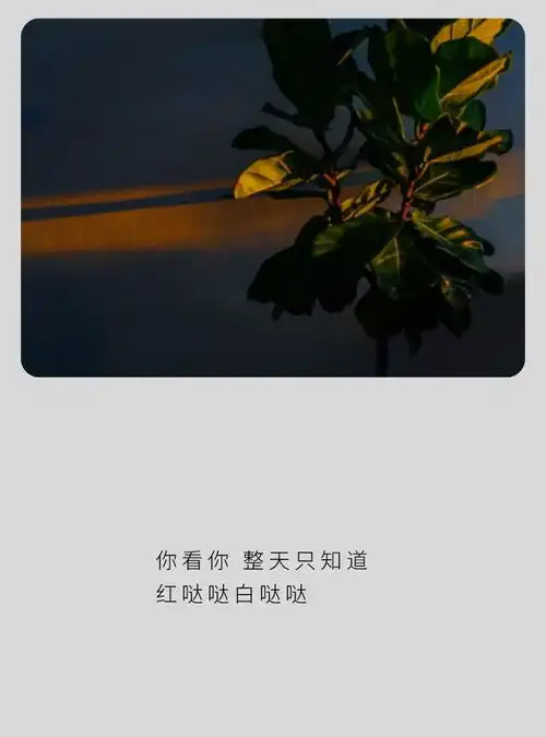头像家里蹲的日子我想了很多